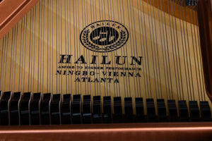 HAILUN HG151 (5')