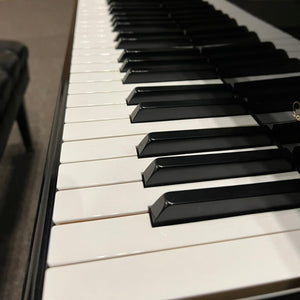 Schimmel K256 (8'4") - 1991 ONLINE INVENTORY