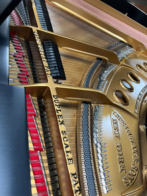 Steinway M (5'7") - 1928 ONLINE INVENTORY