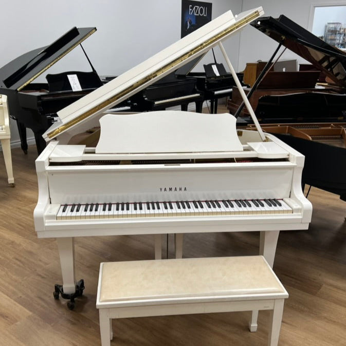 Yamaha G2 (5'8") - 1984 ONLINE INVENTORY