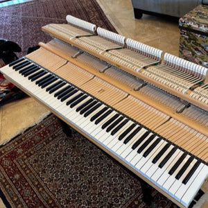 Petrof Monsoon (7'9") - 2004