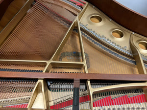 Kawai GE-20 (5'1") - 2003 ONLINE INVENTORY