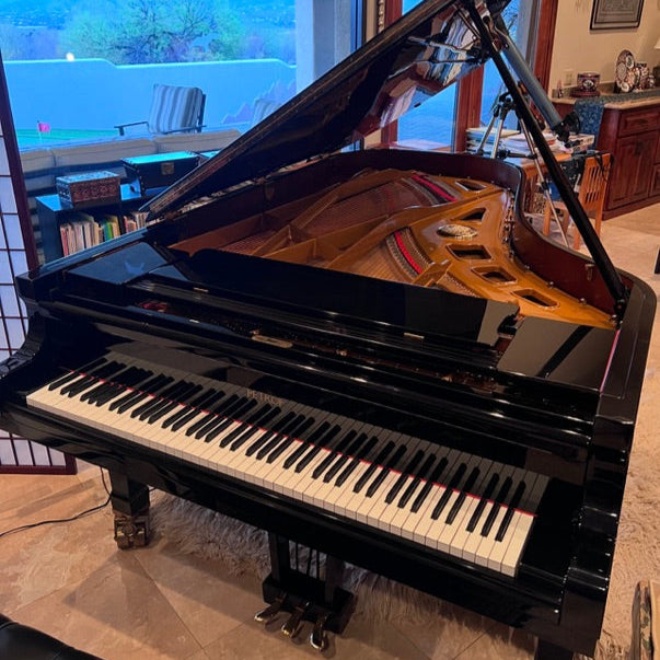 Petrof Monsoon (7'9") - 2004