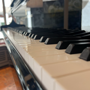 Steinway Model O (5'10")