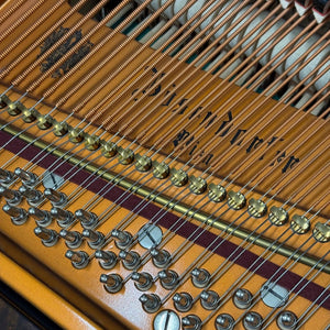 Bösendorfer 200 "Amboyna" (6'5") - 2003 ONLINE INVENTORY