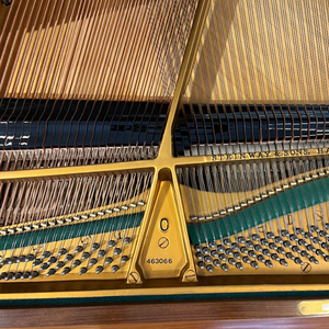 Steinway Model O (5'10")