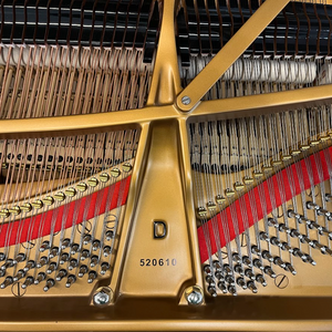 Steinway Model D (9')