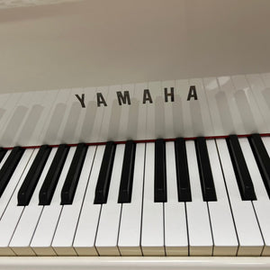 Yamaha G2 (5'8") - 1984 ONLINE INVENTORY
