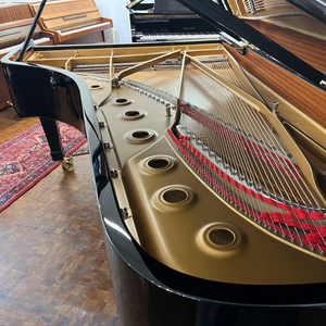 Steinway Model D (9')