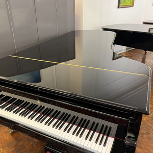 Steinway Model D (9')