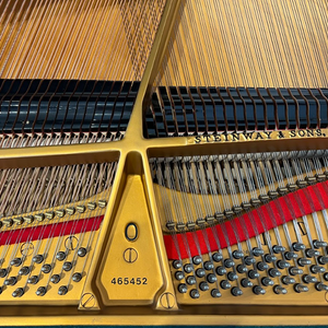 Steinway Model O (5'10")