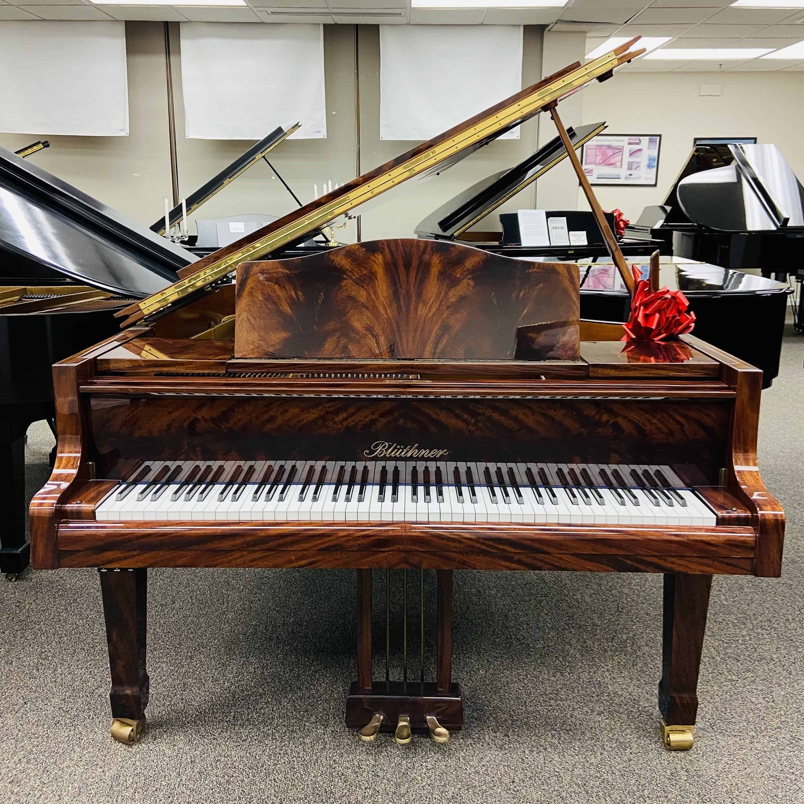 Blüthner Model 6 (6'2") - ONLINE INVENTORY Call for Availability