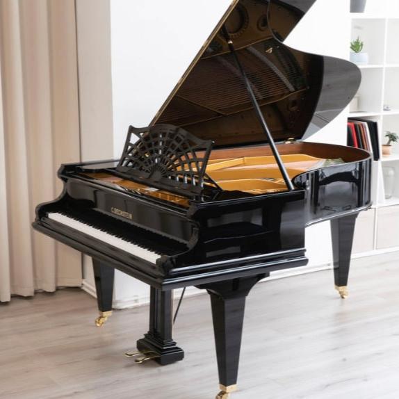 C. Bechstein B-203 - fully restored