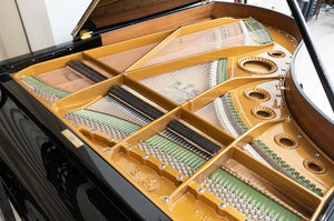 C. Bechstein B-203 - fully restored