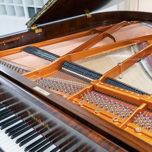 Bösendorfer 170 (5'5") - 1980 ONLINE INVENTORY
