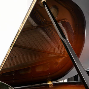 Bösendorfer 170 (5'5") - 1920 ONLINE INVENTORY