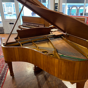 Steinway Model O (5'10")