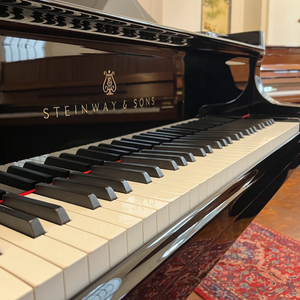 Steinway Model D (9')