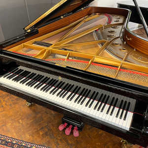 Steinway Model D (9')