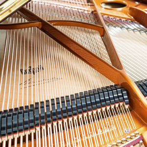 Bösendorfer 170 (5'5") - 1980 ONLINE INVENTORY