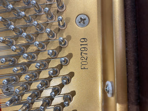 Kawai GM-10 (5'0")