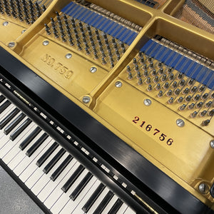 Kawai 750