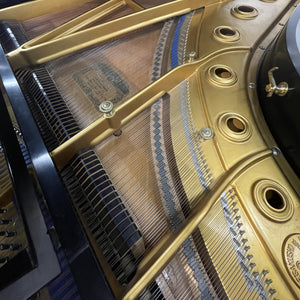 Kawai 750