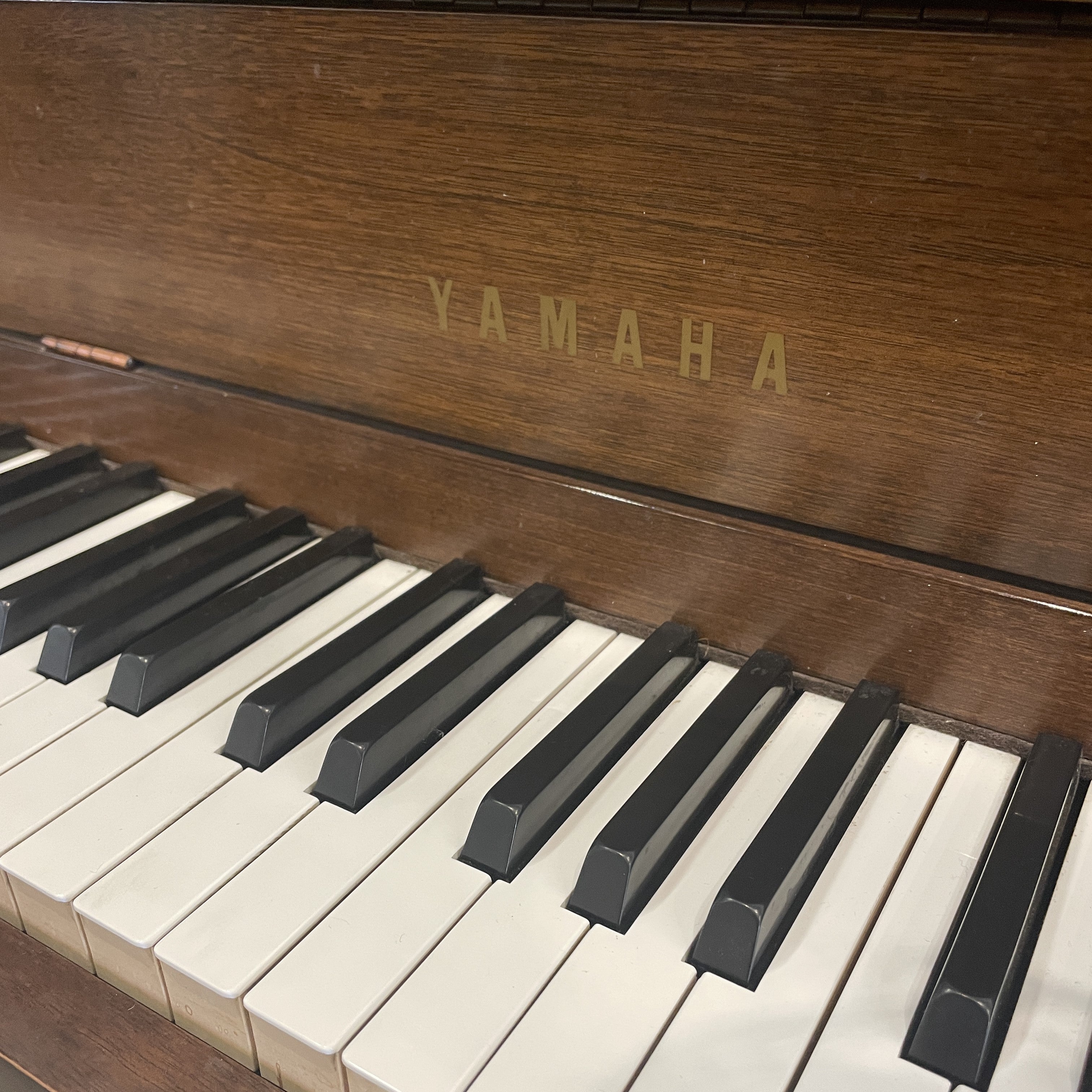 Yamaha M203 (43")