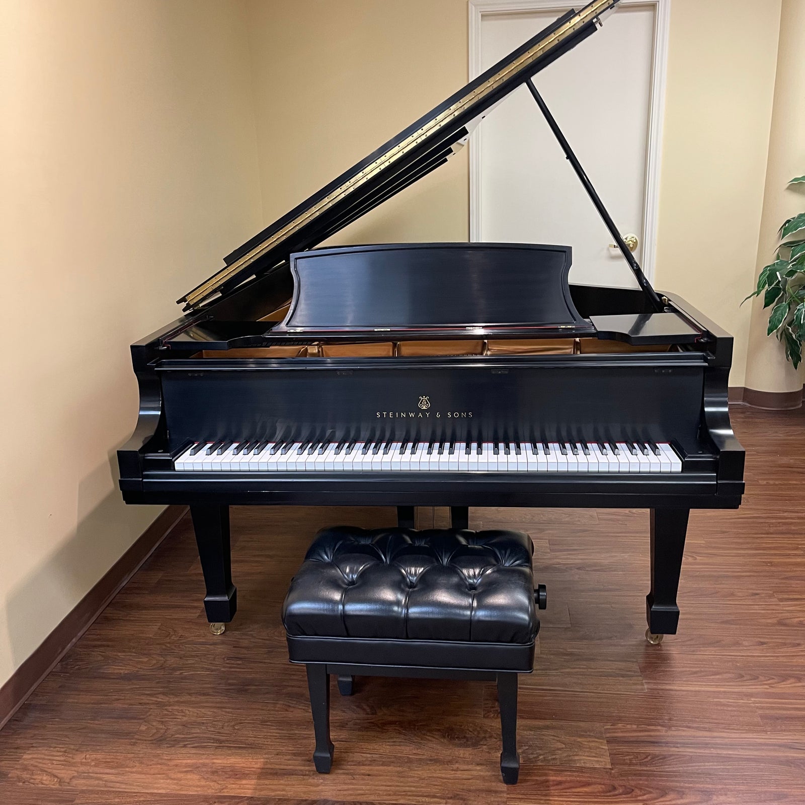 Steinway & Sons Model D 9' - ONLINE INVENTORY Call for Availability
