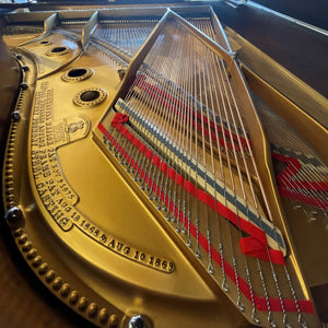 Professionally Restored Steinway & Sons Model A Art Case Grand Piano